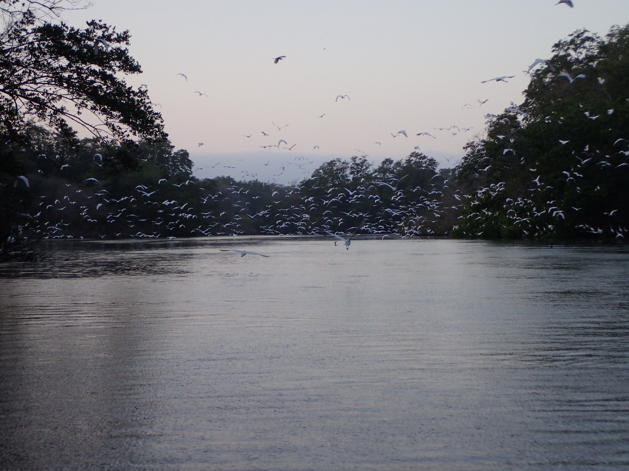 Foto panoramica mar